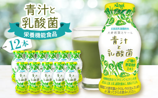 青汁と乳酸菌　12本セット【1664199】 2294196 - 岐阜県笠松町