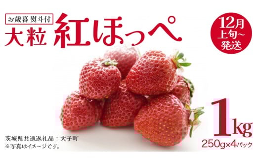 【 お歳暮 熨斗付き 】 紅ほっぺ 250g（8～12粒）×4パック【2025年12月上旬発送開始】(茨城県共通返礼品：大子町) いちご 苺 果物 フルーツ 果実 贈答用 ギフト 贈り物