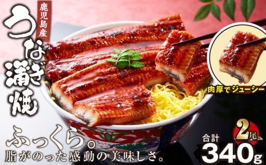 1121-4 鹿児島産うなぎ170g×2尾 清らかな地下水育ち！ 国産 本格 うなぎ 鰻 蒲焼（鹿児島）　KN021-014-02 1021756 - 鹿児島県鹿屋市