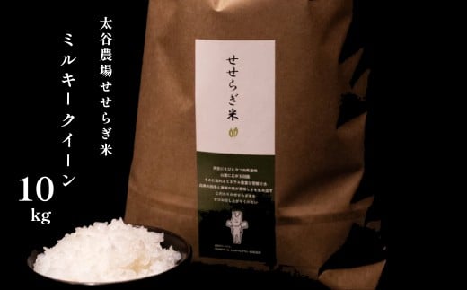 《令和7年産・新米》太谷農場のせせらぎ米 ミルキークイーン10kg /長野県白馬村産 2025年産 米 コメ 玄米 2023年特別最高金賞受賞 コンクール受賞 お米 ご飯 ごはん 送料無料【B0100654】