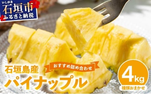 【訳あり】 石垣島産 パイナップル 詰め合わせ 約4kg (3～10個)《2026年5月から順次発送》 | ふるさと納税 パイナップル 産地直送 フルーツ 果物 パイン 石垣 沖縄 沖縄県石垣市 石垣島 KP-15 1122403 - 沖縄県石垣市