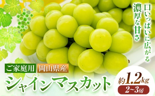 【2026年発送先行予約】ご家庭用 岡山県産 シャインマスカット 1.2kg 2房 3房 晴れの国おかやま館 《2026年9月上旬-10月上旬頃出荷》岡山県 矢掛町 葡萄 マスカット 果物 スイーツ フルーツ デザート【配送不可地域あり】（離島）