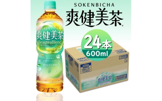 爽健美茶600mlPET×24本【1434267】 1037036 - 富山県砺波市