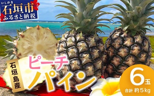【先行予約】 《2026年5月上旬頃より順次発送》石垣島産 ピーチパイン (6玉 約5㎏)【 産地直送 沖縄 石垣 パイナップル フルーツ 】石垣さんちの石垣トロピカルファーム TP-12 1330860 - 沖縄県石垣市