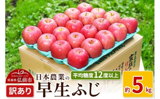 りんご 平均糖度12度以上! 早生ふじ 約5kg 訳あり[先行受付] 青森 果物 フルーツ 林檎 リンゴ くだもの 不揃い 規格外 予約[レビューキャンペーン]