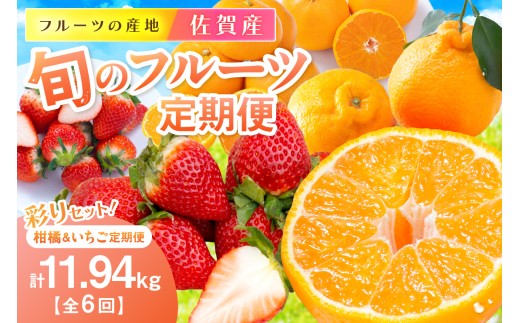 佐賀産 旬のフルーツ定期便 彩りセット[全6回] 柑橘 いちご