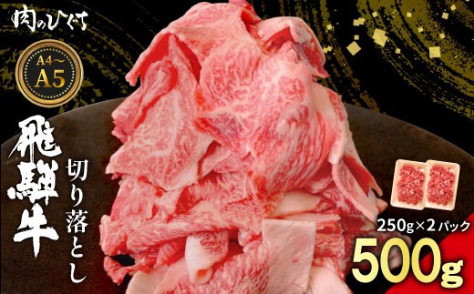飛騨牛 切り落とし 500g(250g×2P) A5 A4 国産 牛 黒毛和牛 和牛 牛肉 切落し 切り落し 薄切り 訳あり 牛丼 すき焼き しゃぶしゃぶ 炒め物 東白川村 岐阜 飛騨 贅沢 霜降り ロース バラ もも ウデ 肉のひぐち
