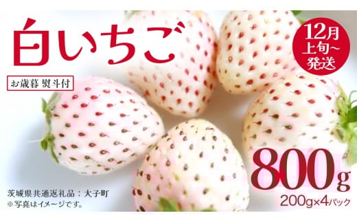 【 お歳暮 熨斗付き 】 白いちご 200g（8～12粒）×4パック【2025年12月上旬発送開始】(茨城県共通返礼品：大子町) いちご 苺 果物 フルーツ 果実 贈答用 ギフト 贈り物