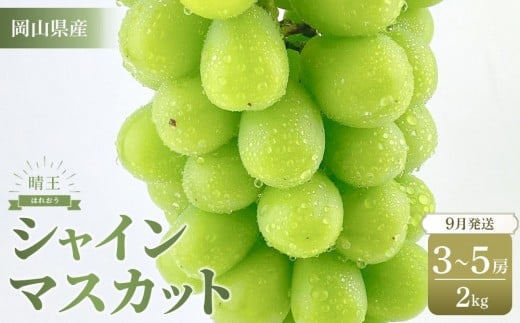 ぶどう 2025年 岡山県産 シャインマスカット 晴王 約2kg（3～5房)【シャイン マスカット 葡萄 新鮮 岡山県 おすすめ 人気 種無し 皮ごと食べる フレッシュ ハレノフルーツ】