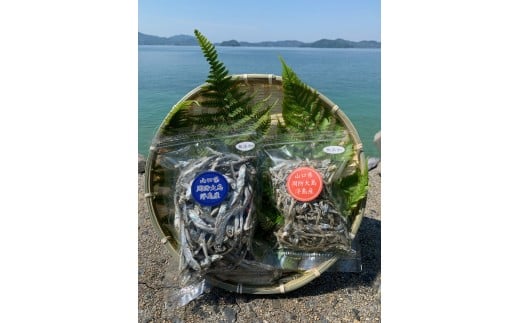周防大島　イリコセット