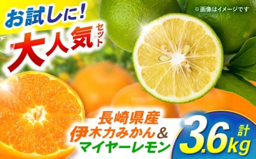 ※【2025年11月中旬より順次発送／先行予約】【大人気みかんとレモンのお試しセット】伊木力みかん(家庭用)1.8kg マイヤーレモン1.8kg 計3.6kg / みかん ミカン 蜜柑 mikan 柑橘 かんきつ レモン れもん 檸檬 果汁 果物 / 諫早市 / 山野果樹園 [AHCF016] 2257727 - 長崎県諫早市