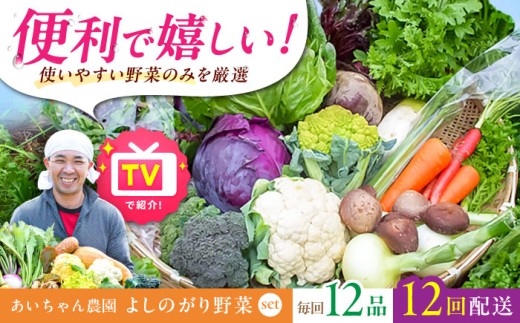【12品 / 12回定期便】農薬に頼らない！カラダにやさしい「よしのがり野菜」セット（レギュラー）【吉野ヶ里あいちゃん農園】 [FAA006]