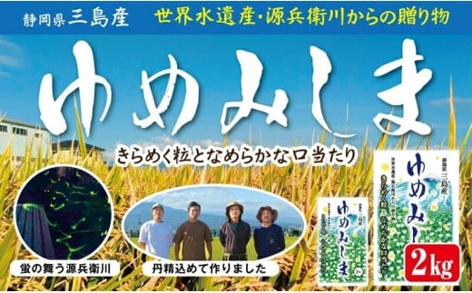 <先行予約> 令和7年産 新米 ゆめみしま 精米 2kg 三島米 新銘柄米『 ゆめみしま 』 粒形が特徴的 湧水育ち こめ 米 ごはん 白米 お米 精米 炊き込みご飯  グラウンドワーク アグリライフ三島 静岡県 三島市 2312472 - 静岡県三島市