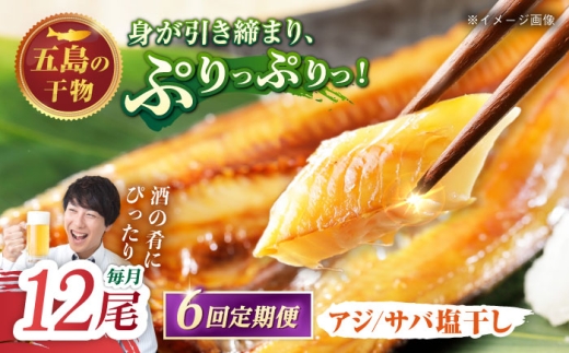 【6回定期便】【L】一夜干し 塩干し（アジ/サバ）計12尾 五島市/愛情食彩 [PCH027]
