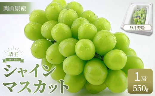 ぶどう 2025年 岡山県産 シャインマスカット 晴王 1房 約550g 【シャイン マスカット 葡萄 新鮮 岡山県 おすすめ 人気 種無し 皮ごと食べる フレッシュ ハレノフルーツ】