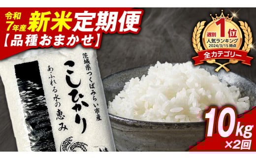 ＼ 新米先行予約 ／【 定期便（11月・12月出荷）】茨城県産 精米 品種おまかせ 10kg (5kg×2袋）×2回 令和7年産 こしひかり 米 コメ こめ 単一米 限定 茨城県産 国産 美味しい お米 おこめ おコメ