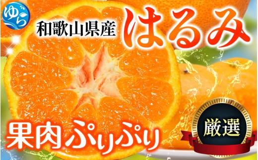 【先行予約】＜2月より発送＞厳選はるみ2.5kg+250g（傷み補償分）デコポンの姉妹品種 新食感春みかん 光センサー選別 【ikd048C】 485537 - 和歌山県由良町