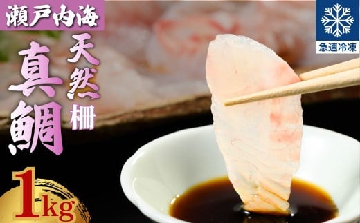 瀬戸内「天然」真鯛 お刺身用 1kg 柵でお届け（急速冷凍）便利な小分け 100gパック 【鯛 マダイ タイ 鯛めし 鯛茶漬け ブロック 海鮮 魚介 即日加工 鮮度抜群 個包装 おせち 正月 正月料理】 2312145 - 広島県竹原市