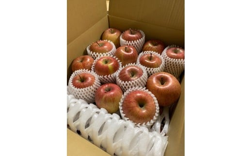 【2025年先行予約】りんご 訳あり サンふじ 約10kg |  林檎 りんご 浅間商産 産直市場 ヤマサン 信州産 長野県 千曲市