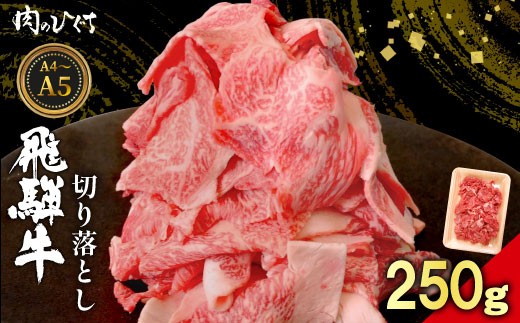飛騨牛 切り落とし 250g A5 A4 国産 牛 黒毛和牛 和牛 牛肉 切落し 切り落し 薄切り 訳あり 牛丼 すき焼き しゃぶしゃぶ 炒め物 東白川村 岐阜 飛騨 贅沢 霜降り ロース バラ もも ウデ 肉のひぐち