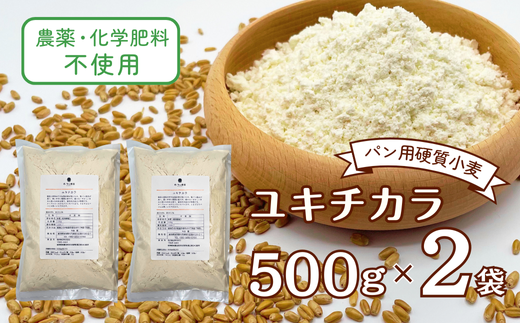 農薬・化学肥料不使用 オータニ農業の『ユキチカラ』小麦粉(中力粉) 500g×2袋(533) 国産 手作り パン お菓子