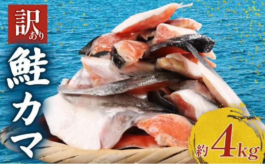 訳あり 鮭かま 4kg 銀鮭 銀鮭カマ 塩銀鮭かま さけかま 鮭 サケ シャケ サーモン 塩鮭 銀シャケ カマ  魚  冷凍 人気 魚介 海鮮 海産物 サーモン  規格外 不揃い 傷 チリ産 魚介類 家庭用 朝食 昼食 夕食 お弁当 おかず 千葉県 旭市 千葉 旭 有限会社キクチシーフーズ kks001