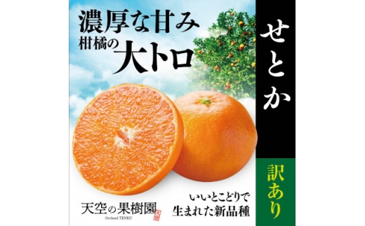 天空の果樹園から届く そらせとか (5kg)＜訳あり＞＜D95-8＞【1668516】