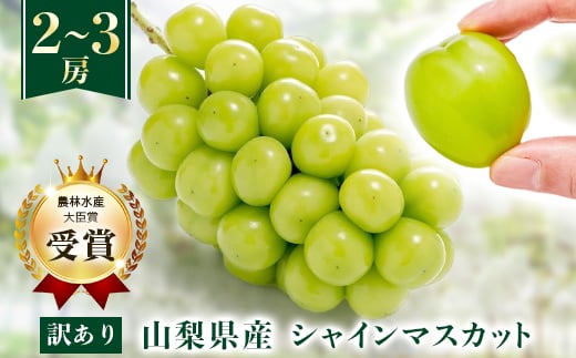 ＜先行受付 2026年発送＞＜訳あり＞シャインマスカット 2～3房 1kg以上【1456435】 1141271 - 山梨県山梨市