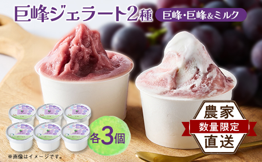 福岡県　巨峰100%と巨峰とミルクのミックスジェラート(各80ml3個　合計6個セット)(大牟田市)【1625457】 2145890 - 福岡県大牟田市
