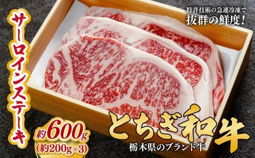 とちぎ和牛の厚切りサーロインステーキ 600ｇ(200ｇ×3枚)【栃木県共通返礼品】 | 牛肉 肉 お肉 厚切り サーロイン ステーキ 柔らかい 産地直送 国産 国産牛 交雑 赤身 霜降り 希少 旨味 旨み 熟成 急速冷凍 テクニカン テクニカン社 スキンパック 真空パック 真空包装 コトラミートカルチャ 栃木県 茂木町