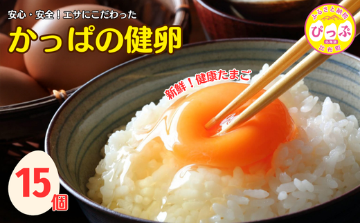 かっぱの健卵 15個入り[大熊養鶏場]たまご 卵 玉子 タマゴ 生卵 こだわり 卵かけご飯 TKG 国産 お取り寄せ 北海道 比布町 ぴっぷ