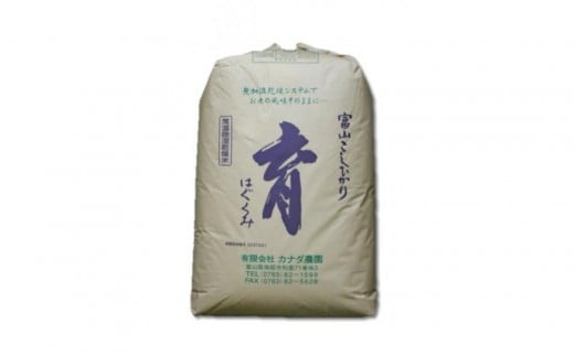 【令和7年産】定期便・隔月６回  富山県産こしひかり 育（はぐくみ）玄米３０kg《南砺の逸品》 2312666 - 富山県南砺市