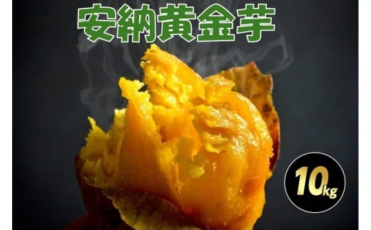 種子島産安納黄金いも10kg 2S～Sサイズ（61g～150g） 2312675 - 鹿児島県中種子町
