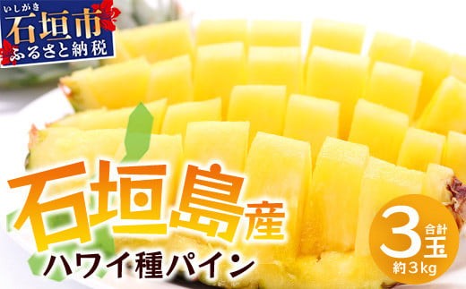 [先行予約][2026年6月上旬頃より順次発送]石垣島産 ハワイ種 パイン (3玉 約3kg) [ 産地直送 沖縄 石垣 パイナップル フルーツ ]石垣さんちの石垣トロピカルファーム TP-4