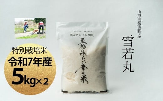【令和7年産】至福の味わい、　幸せ米。「雪若丸」精米 5kg×2 - 白米 米 ごはん 品種 銘柄 ブランド米 おすすめ 送料無料 山形県 飯豊町 2317008 - 山形県飯豊町