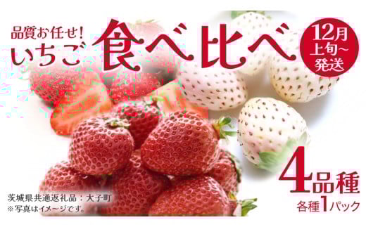 いちごの 食べ比べ 4品種×1パック【2025年12月上旬発送開始】(茨城県共通返礼品：大子町) いちご 苺 果物 フルーツ 果実