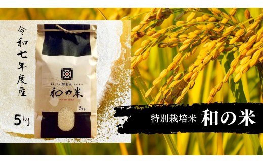 《 令和7年産 》和の米　「酵素米」　玄米5kg ／ 米 こめ コメ お米 おこめ コシヒカリ こしひかり 和の米 酵素米 特別栽培認証 新米 玄米 ごはん ご飯 令和7年産 5kg 茨城県 利根町 送料無料 253305 - 茨城県利根町