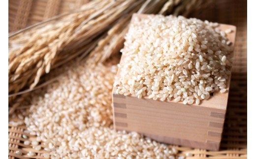 令和7年産 茨城県産 新米 にじのきらめき 10kg 玄米 米 こめ コメ 農家 直送 こだわり お米 おこめ 茨城 [BG015ya]