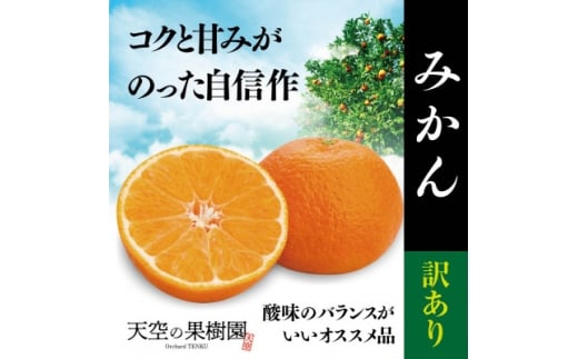 天空の果樹園から届くそらみかん (3kg)＜訳あり＞＜A95-6＞【1668486】