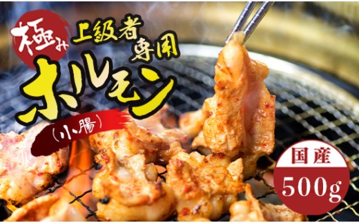 国産 牛 極上 上級者専用 ホルモン ( 小腸 ) 500g 附属タレ付き | 冷蔵 もつ鍋 タレ揉み 中元 ギフト お祝いモン モツ しょうちょう 焼き肉 BBQ 味付け肉 キャンプ アウトドア 京都 舞鶴