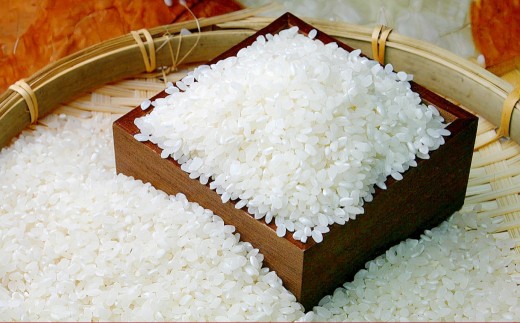 【令和7年産】 ゆめぴりか （無洗米） 10kg×2袋 20kg 北海道 鷹栖町 たかすのおむすび 米 コメ ご飯 無洗米 お米