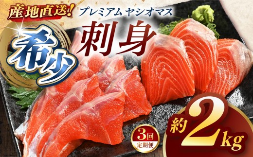 【定期便3回】産地直送栃木県のブランド魚「プレミアムヤシオマス」の刺身 2,000g (200g×10パック)  [ 冷凍便 ] | 魚 ます 養殖 産地直送 栃木県 (毎月お届け） 2198688 - 栃木県矢板市