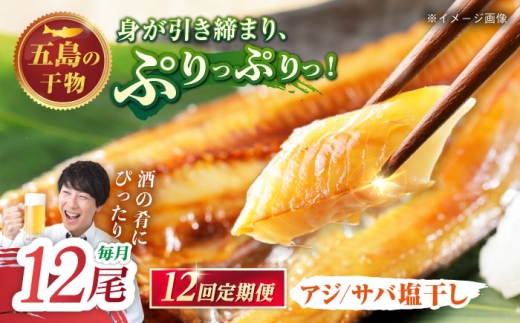 【12回定期便】【L】一夜干し 塩干し（アジ/サバ）計12尾 五島市/愛情食彩 [PCH028]