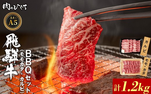 飛騨牛 BBQセット（カルビ・モモカタ） 1.2g A5 A4 国産 牛 冷凍 和牛 牛肉 カルビ もも モモ カタ 肩 かた 豪華 ギフト 贈答 にく お肉 肉 東白川村 岐阜 飛騨 贅沢 霜降り 赤身 肉のひぐち