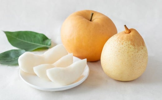 あたご梨・鴨梨（ヤーリー）詰合せ 合計約4kg 化粧箱 なし 梨 愛宕梨 ナシ 果物 フルーツ 果実 岡山県 倉敷市 【2025年11月下旬～12月下旬迄順次発送予定】