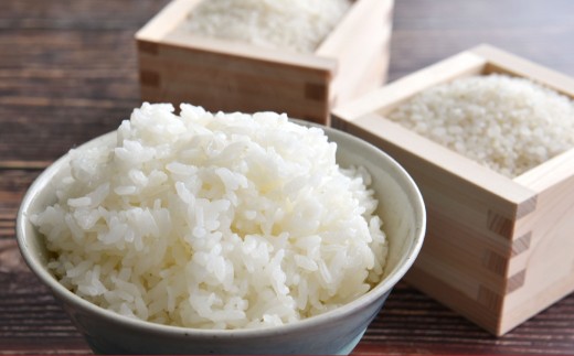 【令和7年産】 ゆめぴりか ななつぼし 食べ比べセット （精白米） 各10kg 北海道 鷹栖町 たかすのおむすび 米 コメ ご飯 精白米 お米