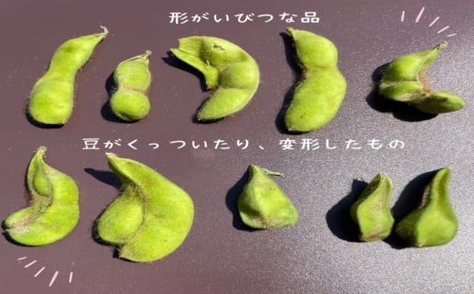 訳ありの理由画像