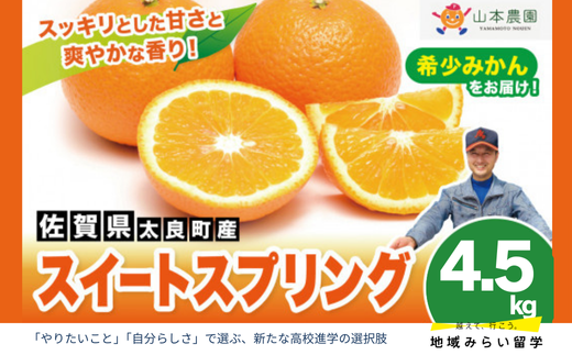 画像はイメージです。