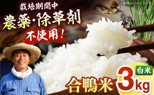 [栽培期間中農薬不使用]古野農場 合鴨農法 合鴨米（白米）3kg