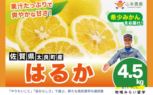 画像はイメージです。